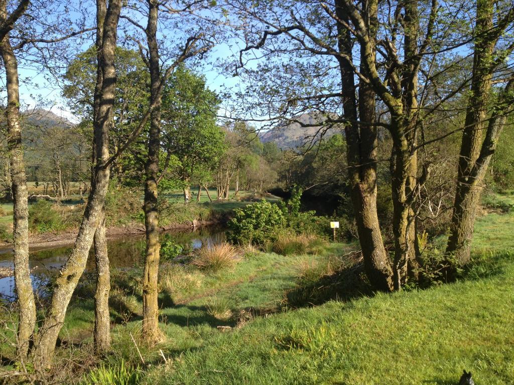 Rashfield Sheilings - Unique Riverside Lodges Dunoon Værelse billede